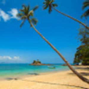 Meet your Posher, Arissa